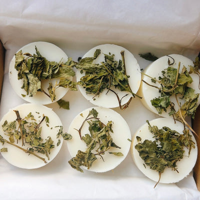 Botanical Wax Melts - Mint Mojito